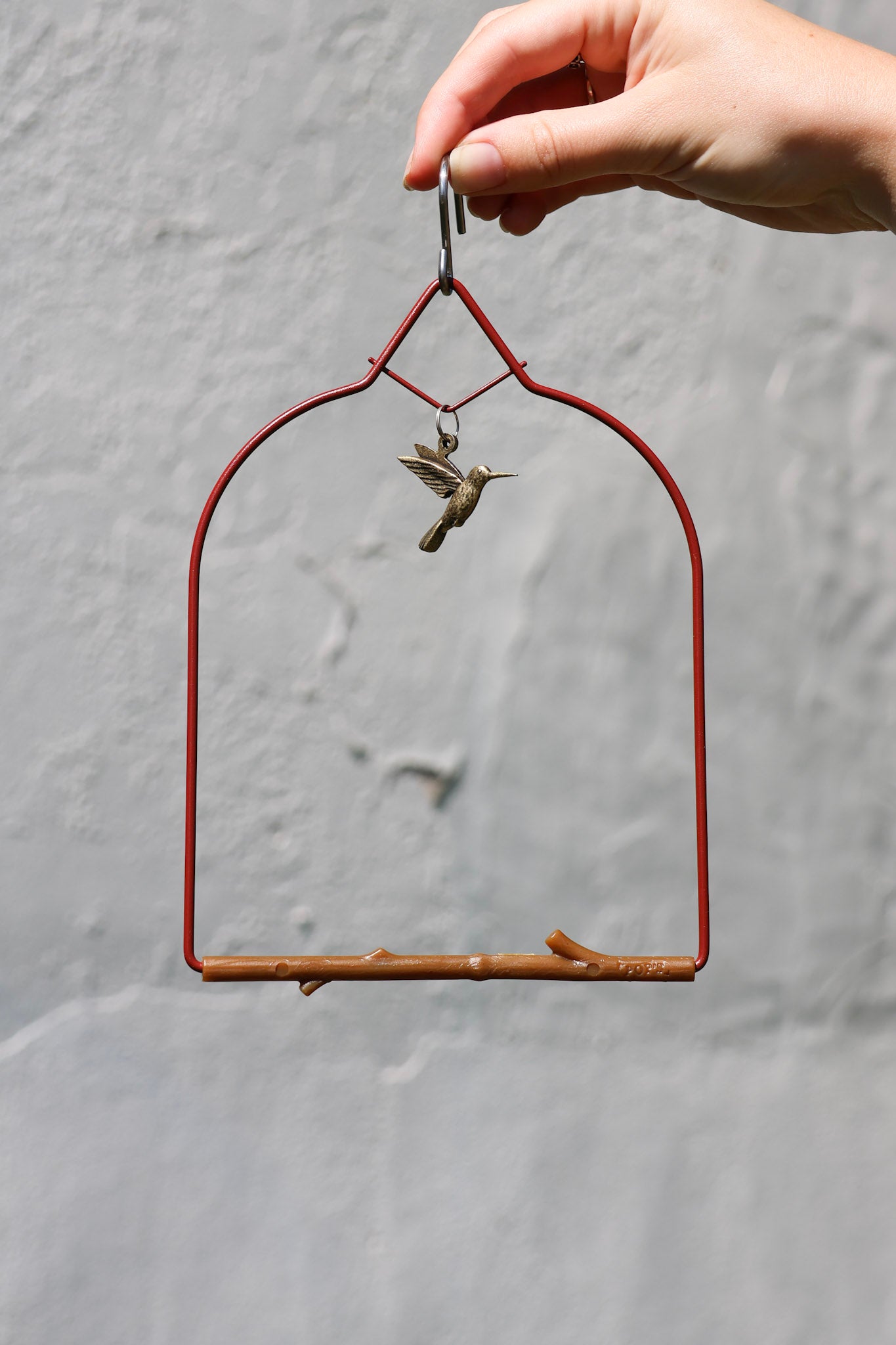 Hummingbird Swings by Pop's Birding