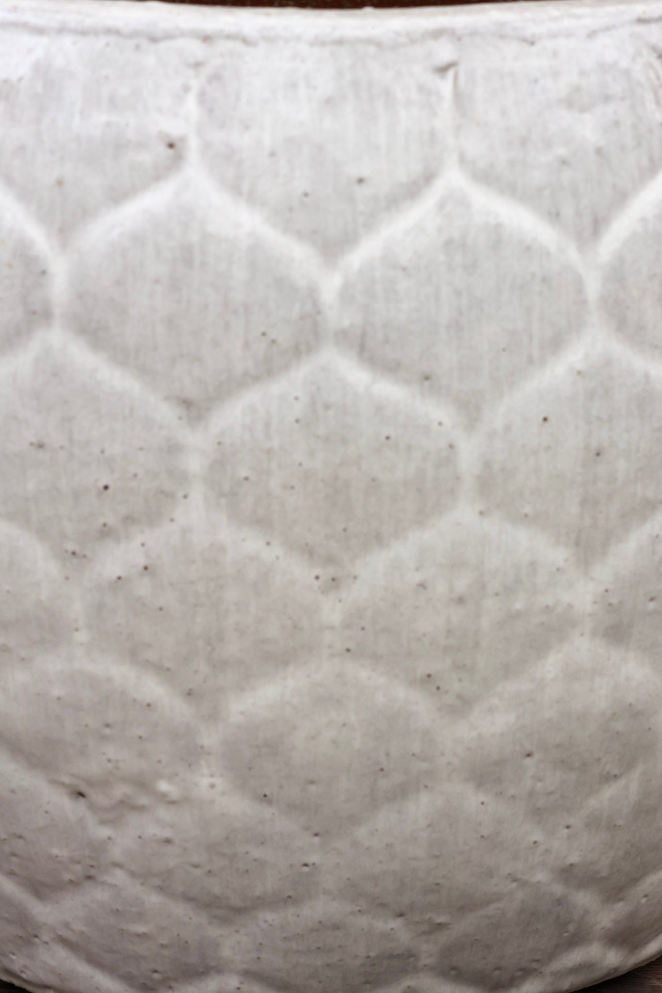 Pina Planter Snow Monkey