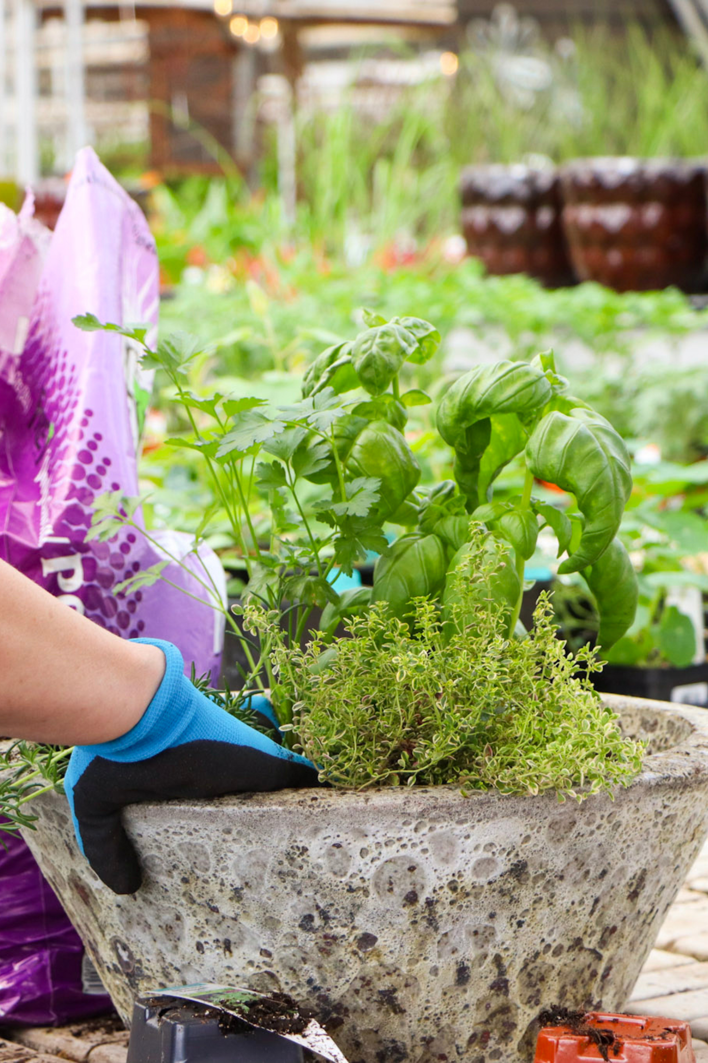 Herb Container Garden Workshop - May 3rd at 9:00AM