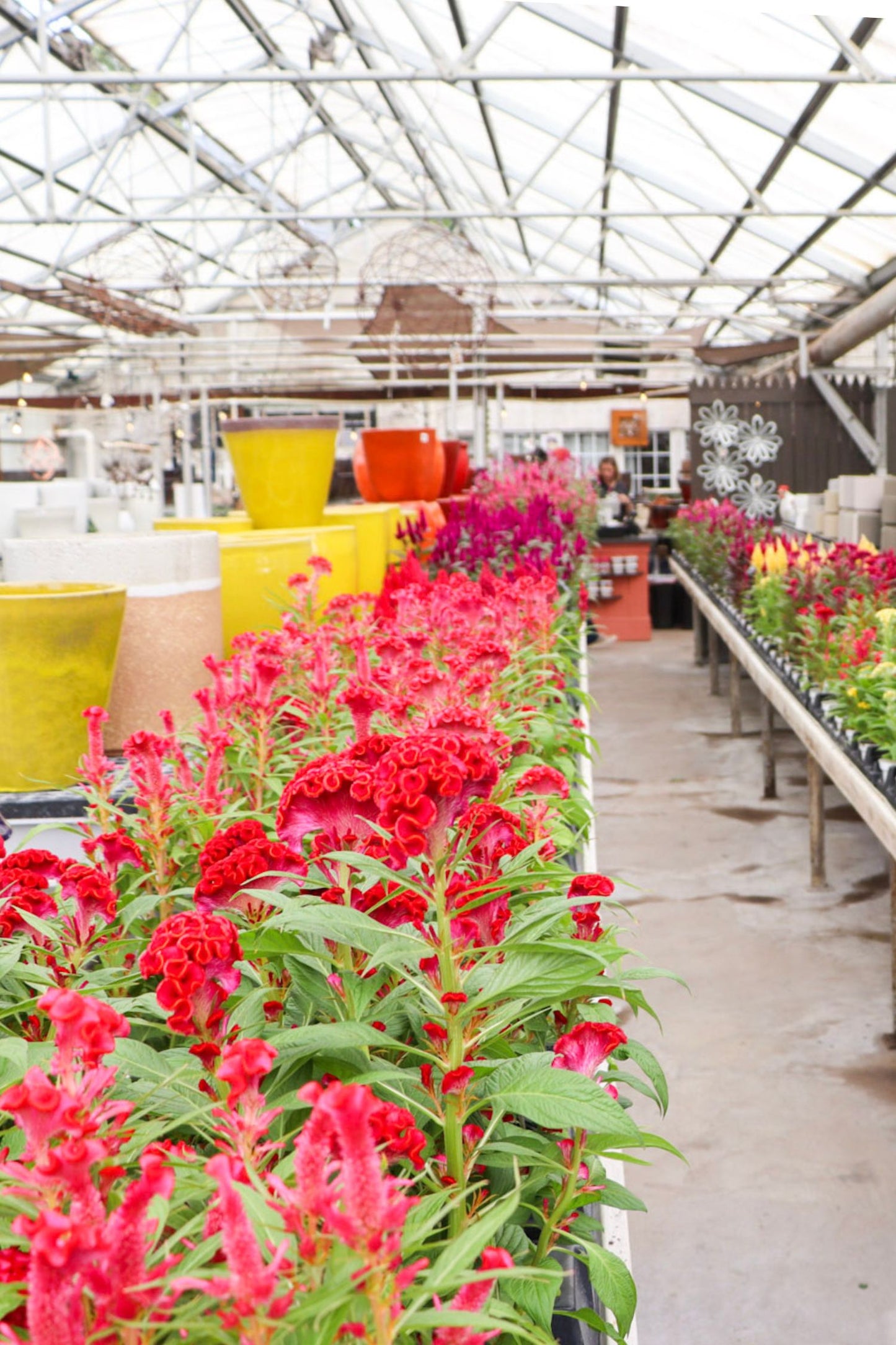 Fall Frenzy - Aug 27th - Sept 4th, 2026