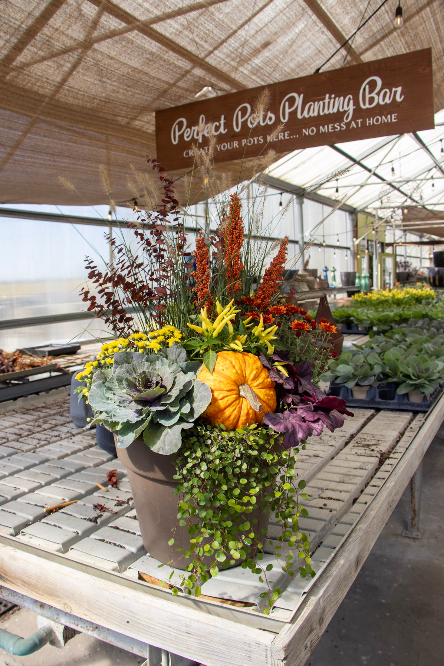 Fall Potting Workshop - Sept 20th at 11:00AM