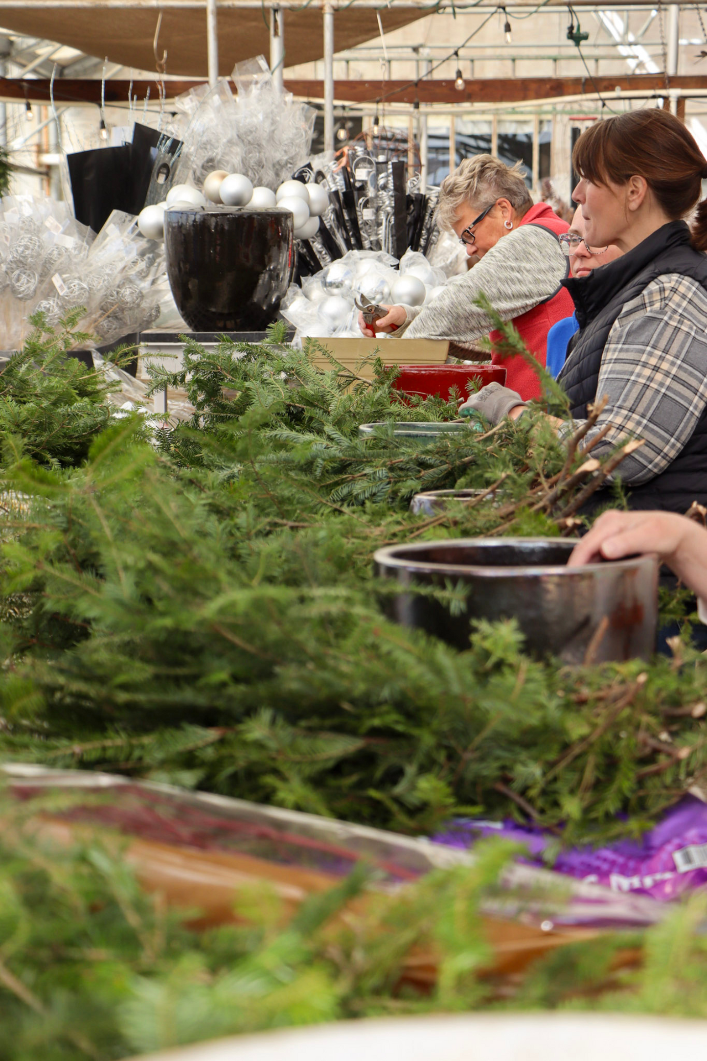 Winter Potting Workshop - Dec 6th at 9:30AM