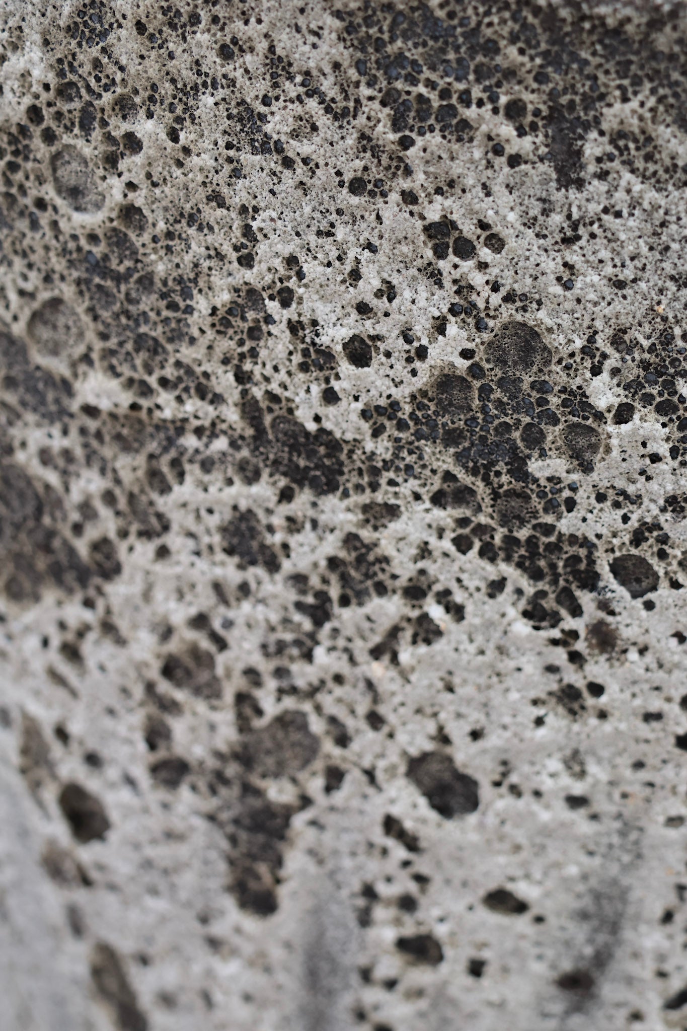 Brasilia Planter Aegean