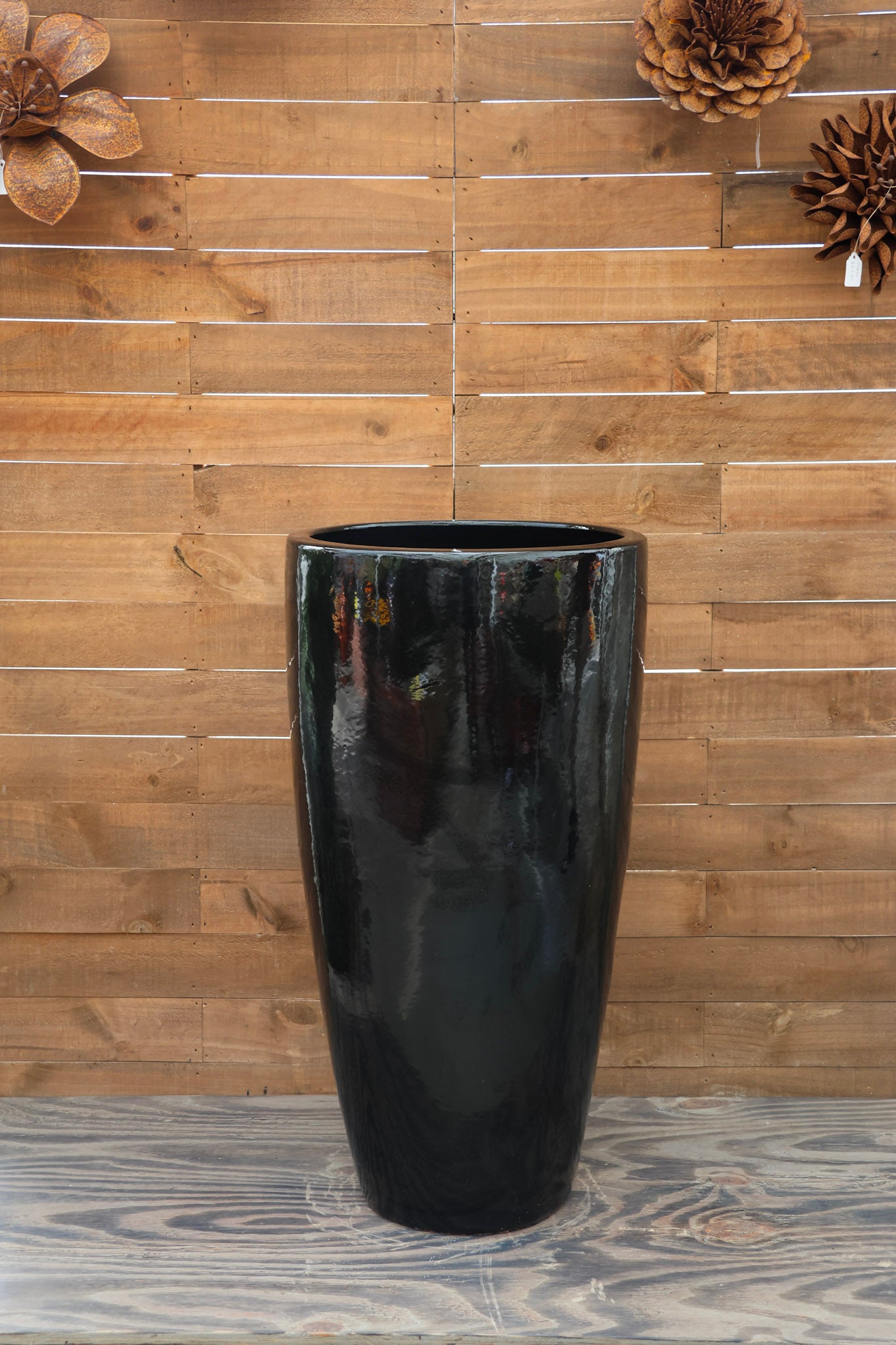 zz plant pot size ZZ Plant | Zamioculcas Zamiifolia main image 0