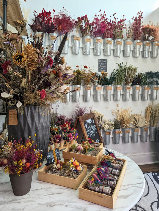 Assorted dried flowers and dried creations displayed at our King St. store.