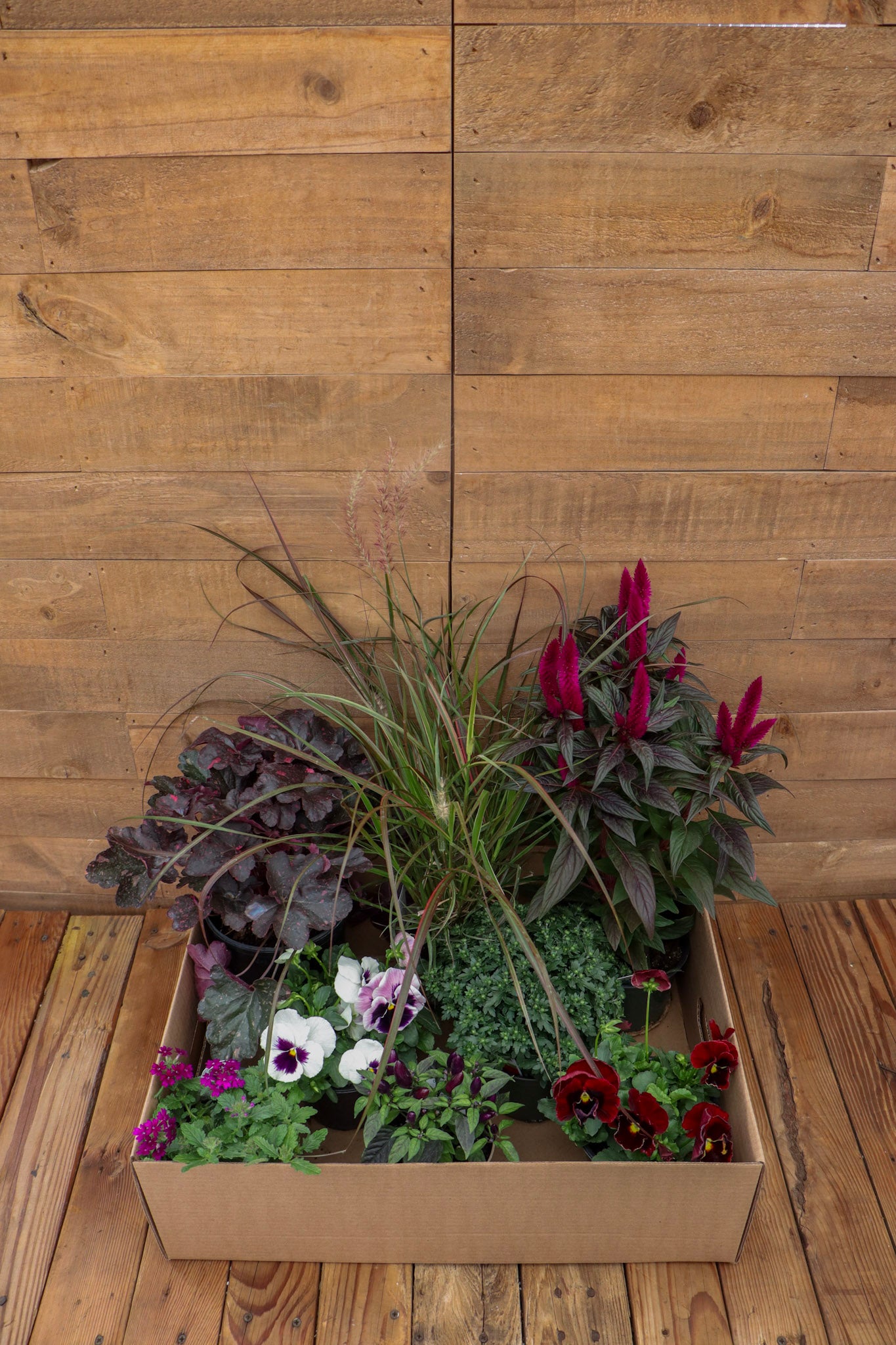 Wine Country Recipe Box