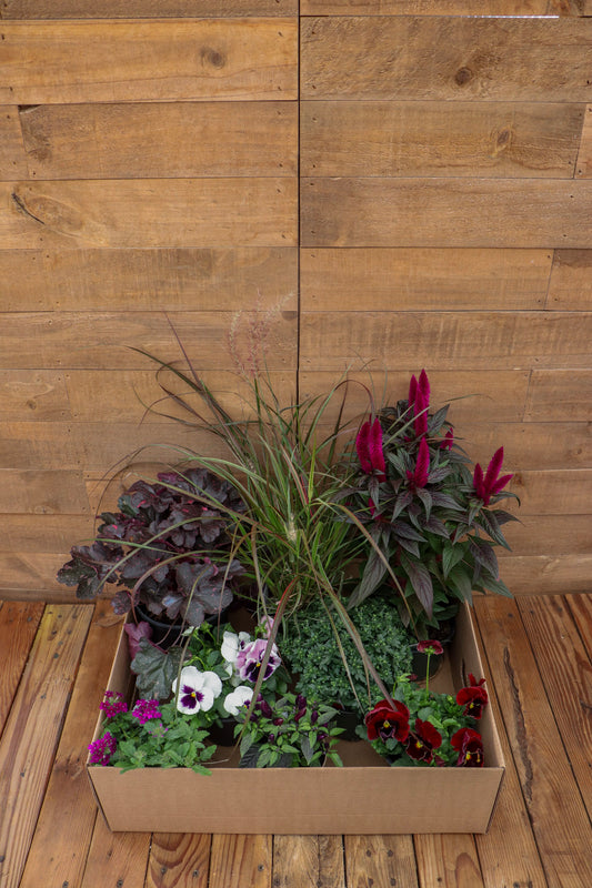 Wine Country Recipe Box