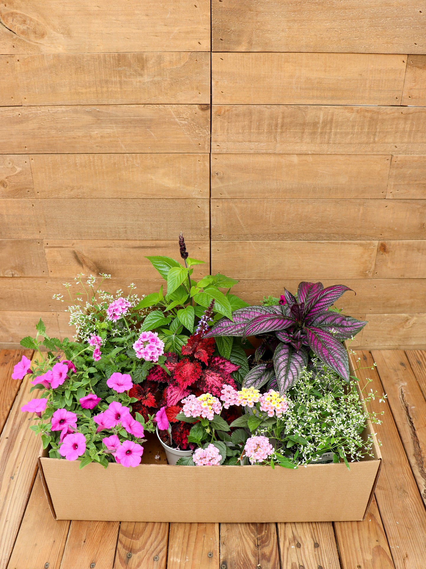 Mother's Day Recipe Box