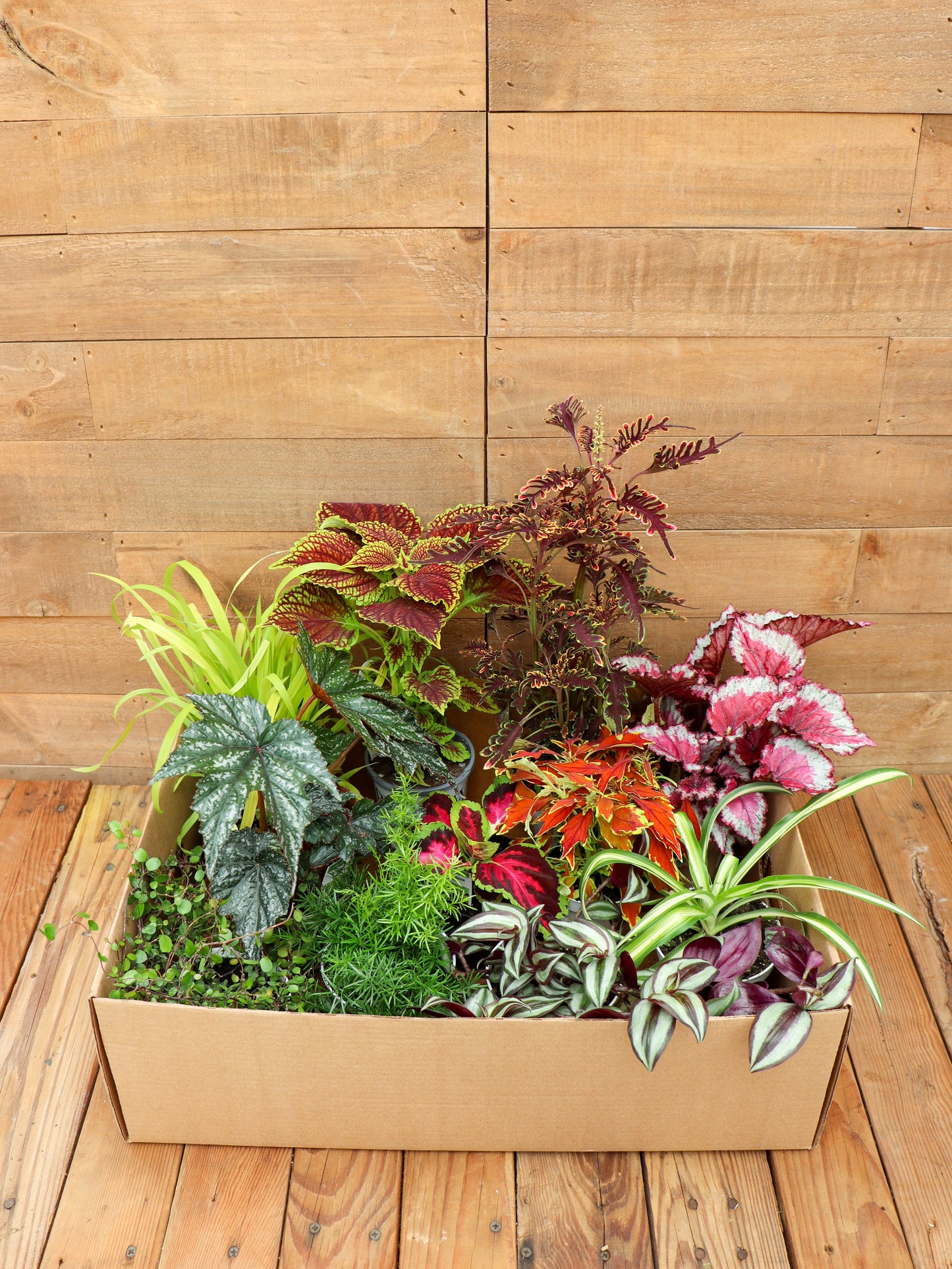 Fun with Foliage Recipe Box