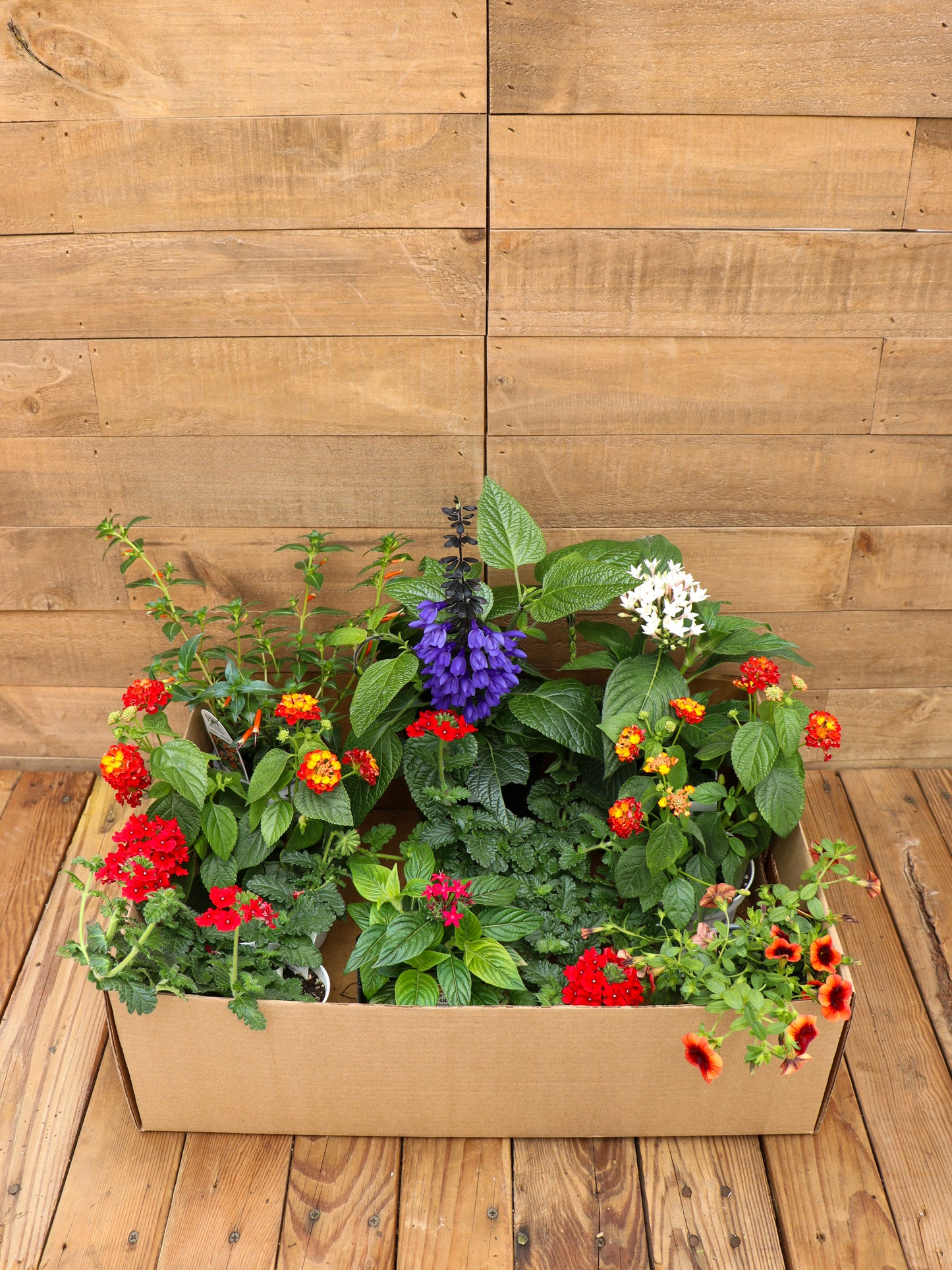 Hummingbird Haven Recipe Box