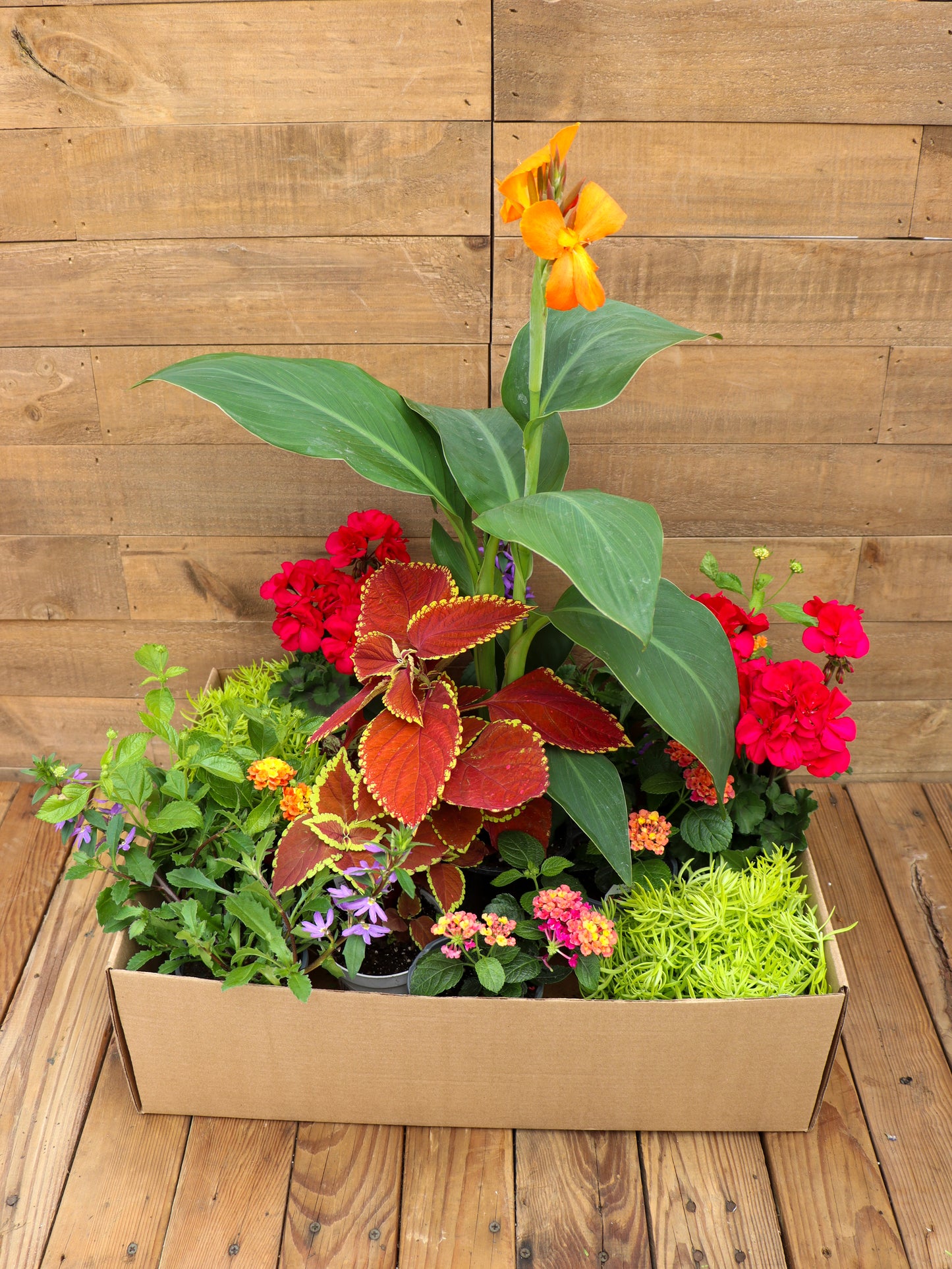 Tropical Vibes Recipe Box