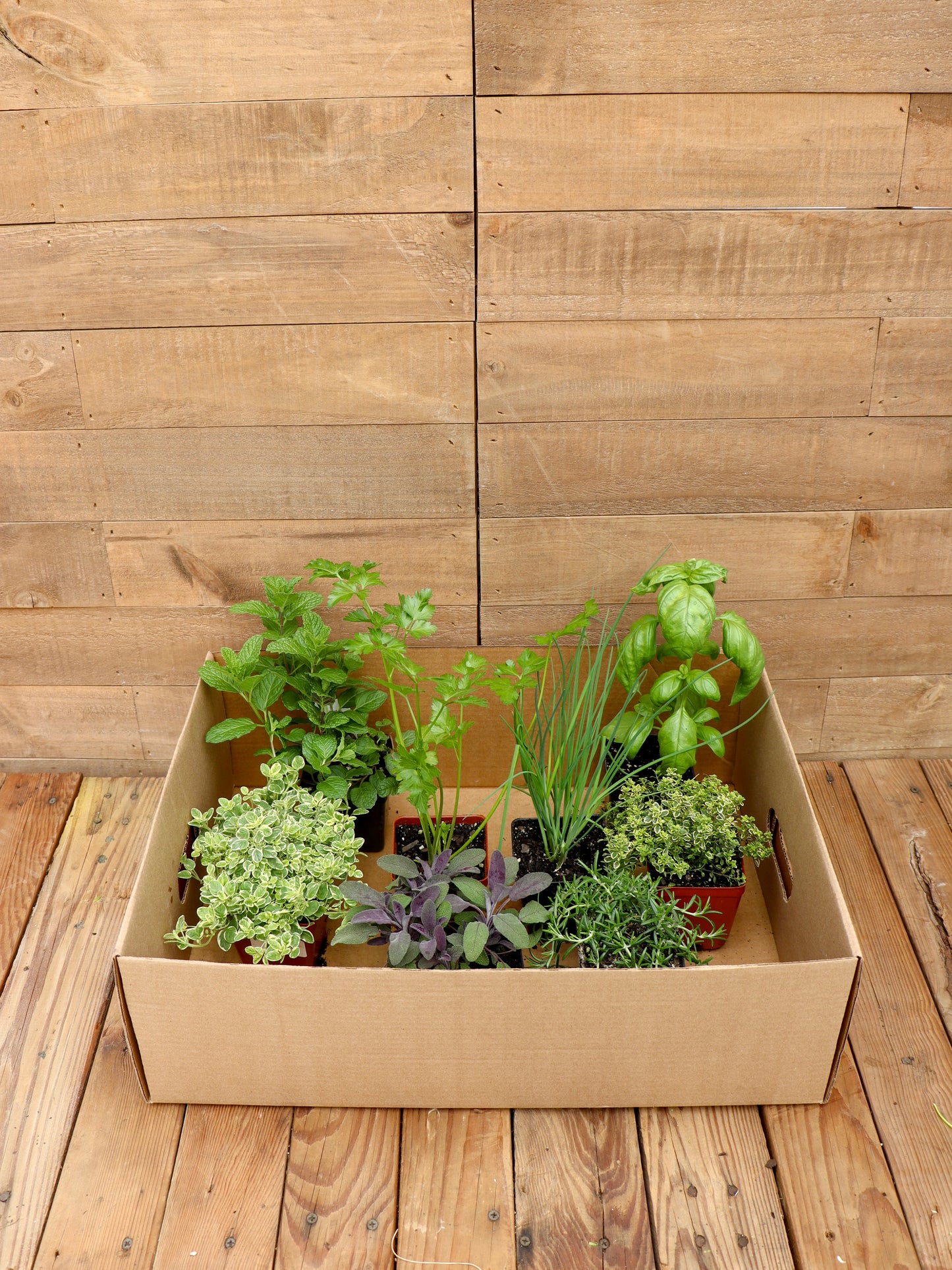 Al Fresco Herb Garden Recipe Box
