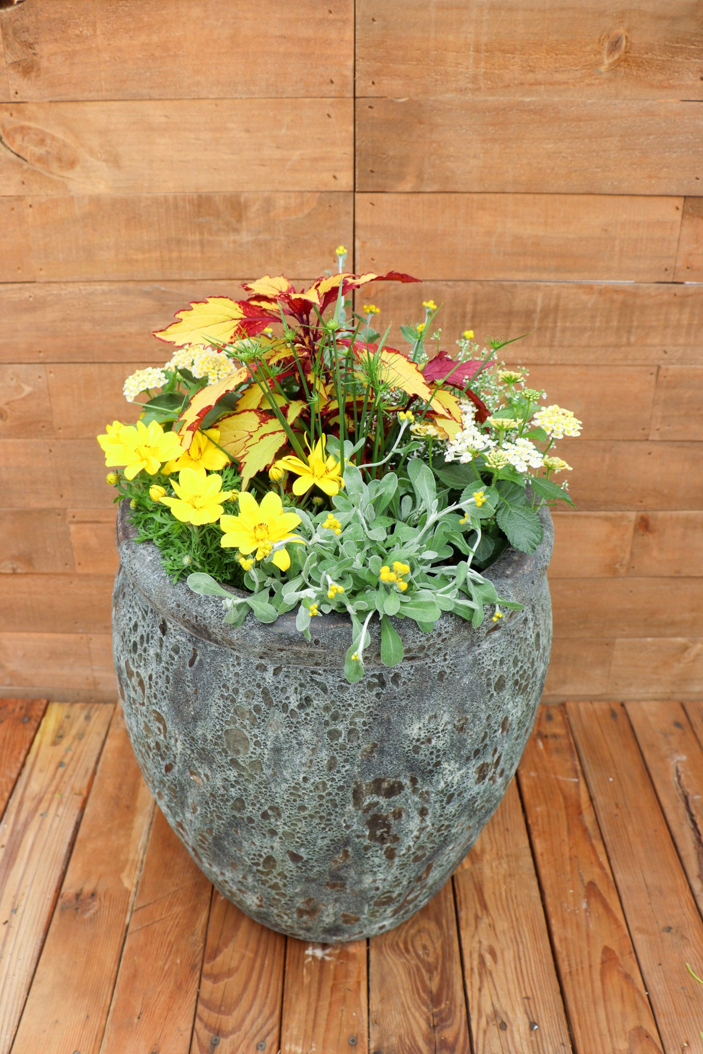 Mellow Yellow Planter
