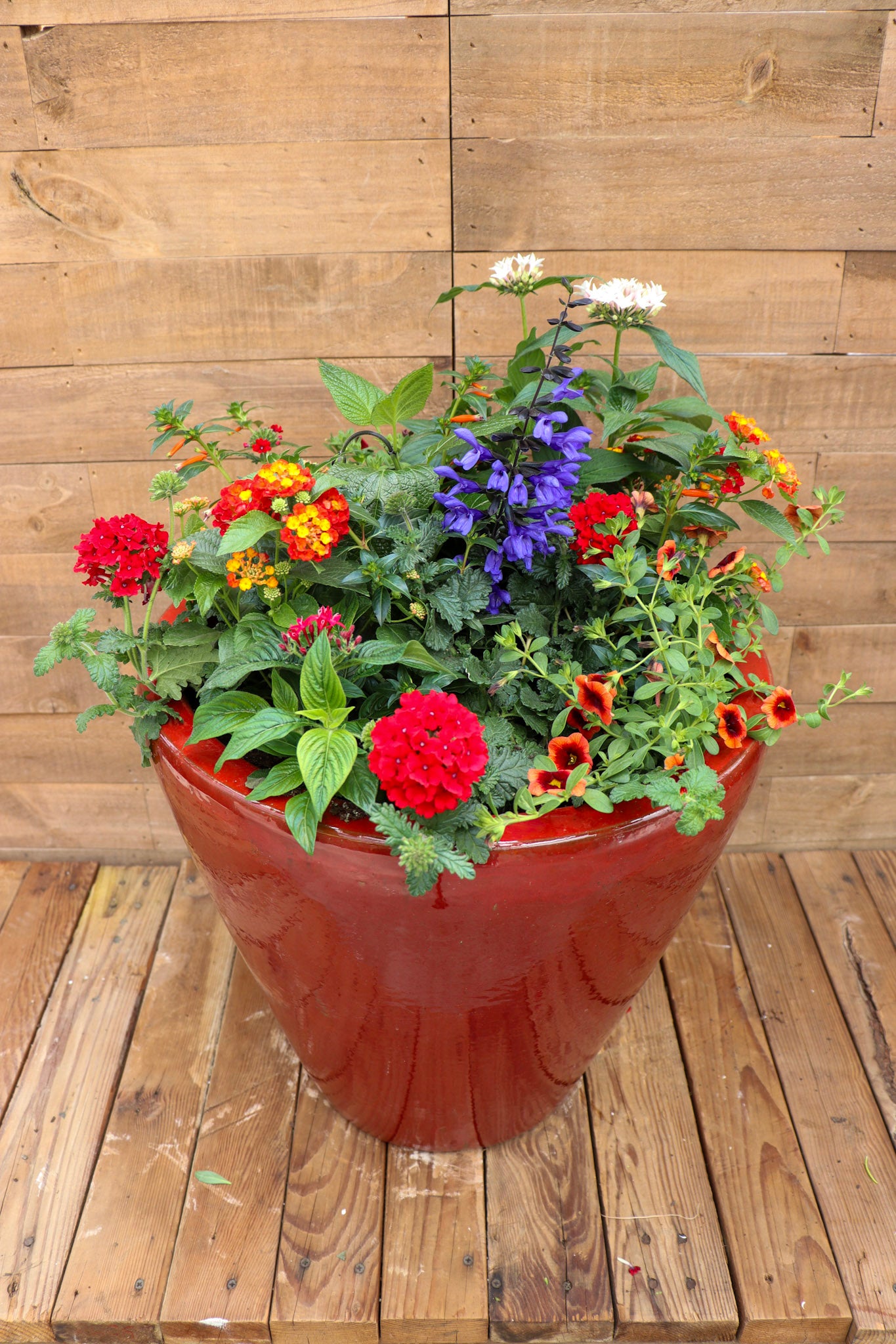 Hummingbird Haven Planter