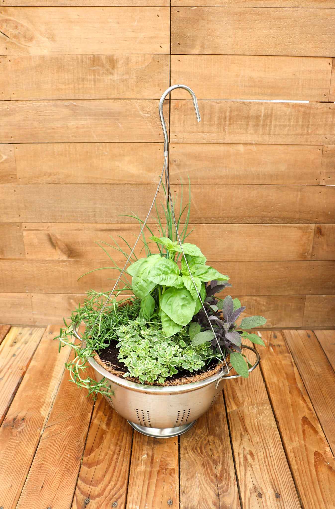 Hanging Herb Colander