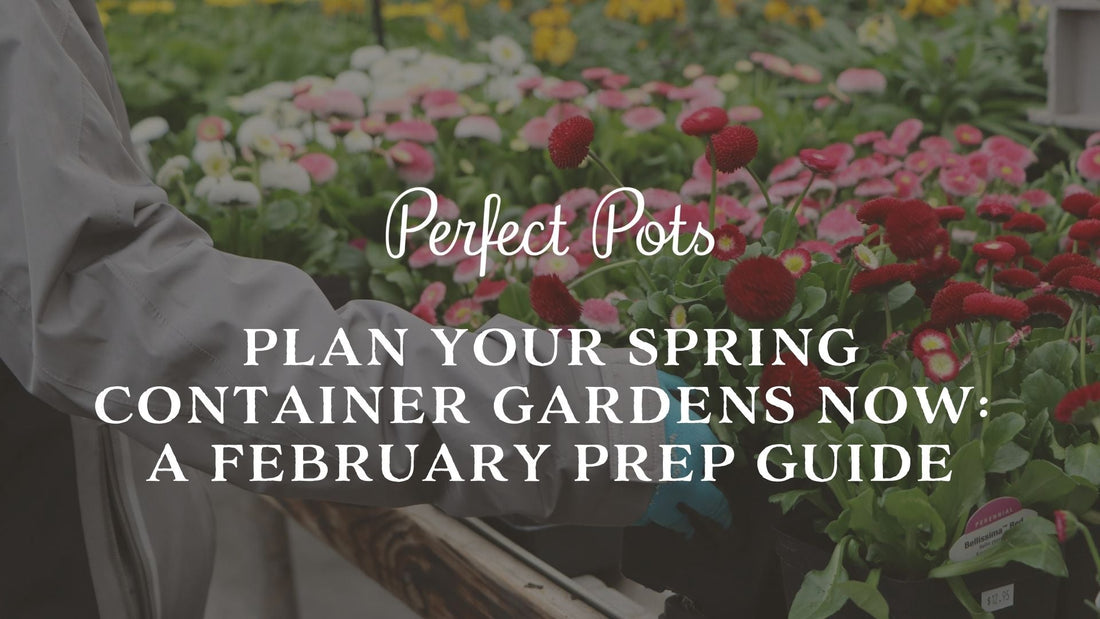 Plan Your Spring Container Gardens Now | A February Prep Guide