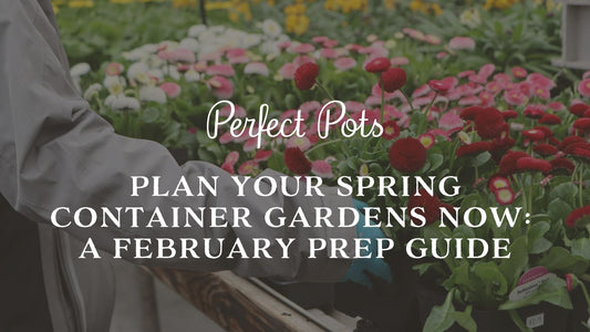 Plan Your Spring Container Gardens Now | A February Prep Guide