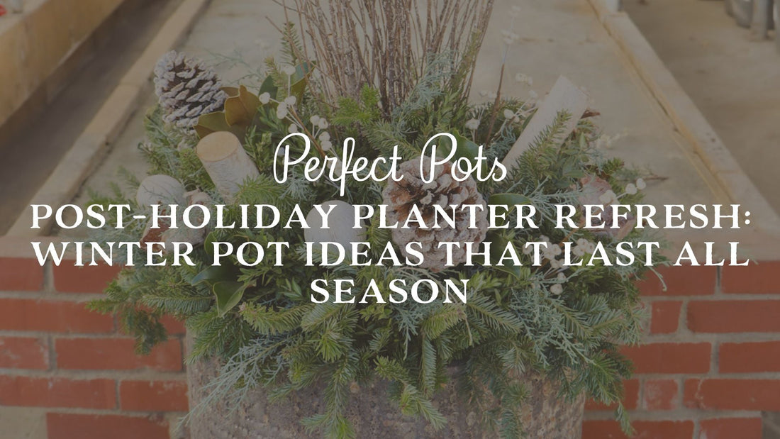 Post-Holiday Planter Refresh: Winter Pot Ideas That Last All Season
