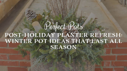 Post-Holiday Planter Refresh: Winter Pot Ideas That Last All Season