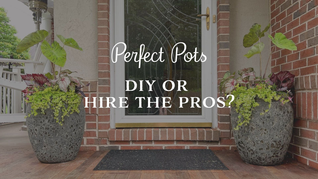 The Truth About DIY vs. Professional Planters