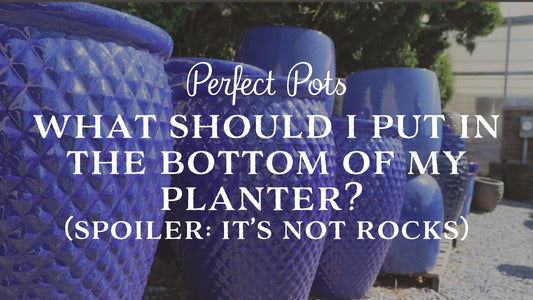 What Should I Put in the Bottom of My Planter? (Spoiler: It’s Not Rocks)