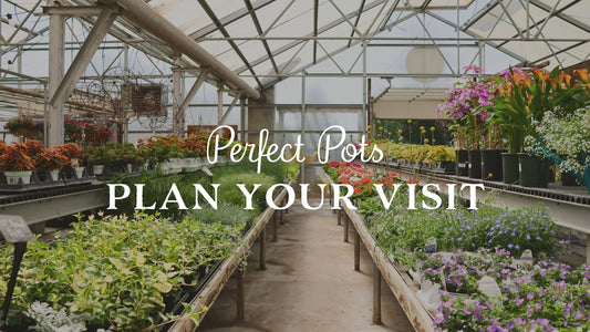 Plan Your Visit to Perfect Pots: A Day Trip to Strasburg
