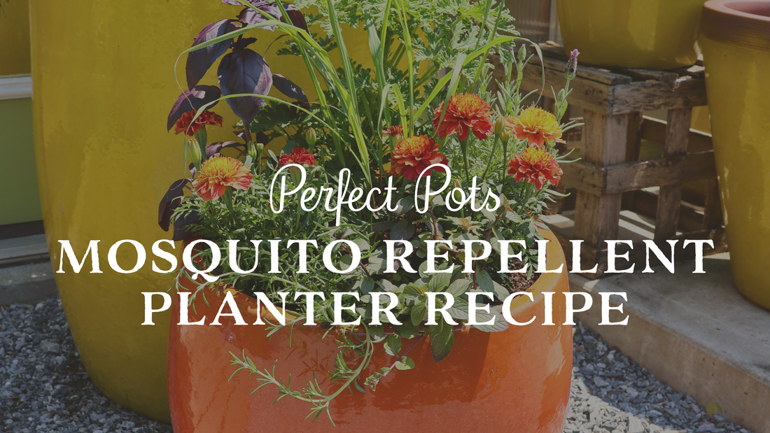 Buzz Off Mosquito-Repellent Planter Recipe