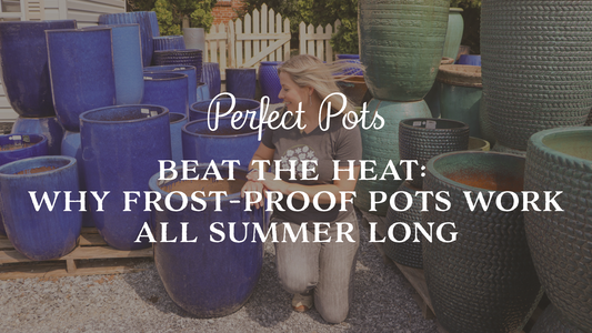 Beat the Heat: Why Frost-Proof Pots Work All Summer Long