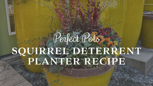 Squirrel Deterrent Fall Planter: Fall Pots that Squirrels Won't Dig Up