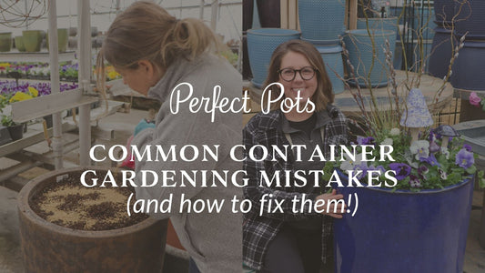 Common Container Gardening Mistakes (And How to Fix Them)
