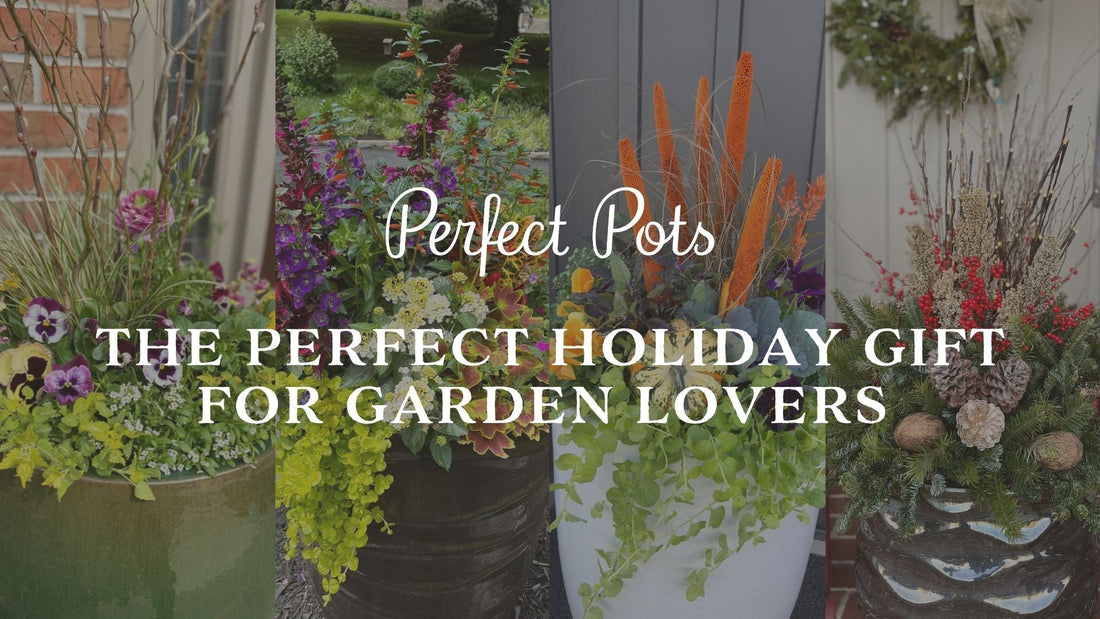 The Holiday Gift That Lasts All Year: Seasonal Porch Pots from Perfect Pots