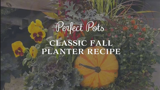 The Classic Perfect Pots Fall Planter Recipe: A Long-Lasting Fall Container Garden