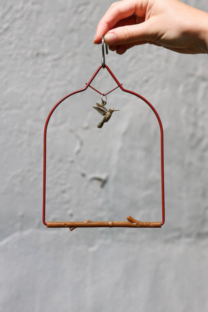 Hummingbird Swings by Pop's Birding