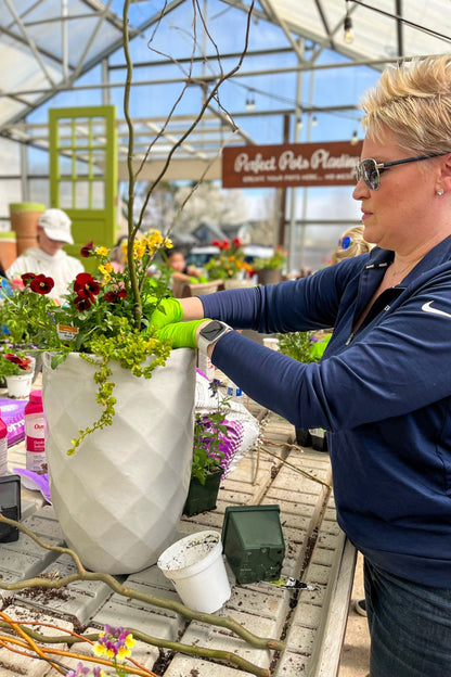 Spring Potting Workshop - March 7th at 11:30AM