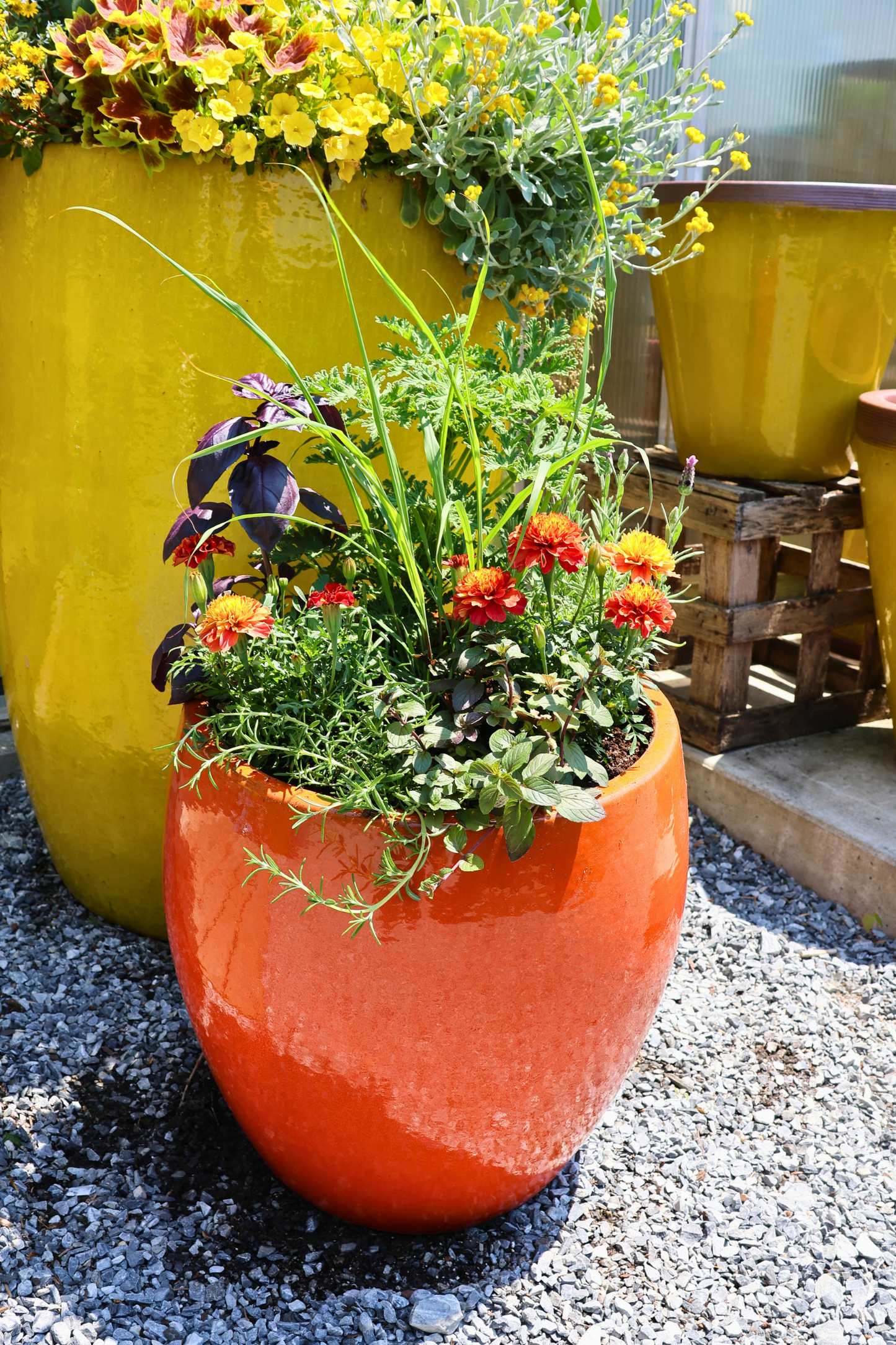 Mosquito-Repellent Planter
