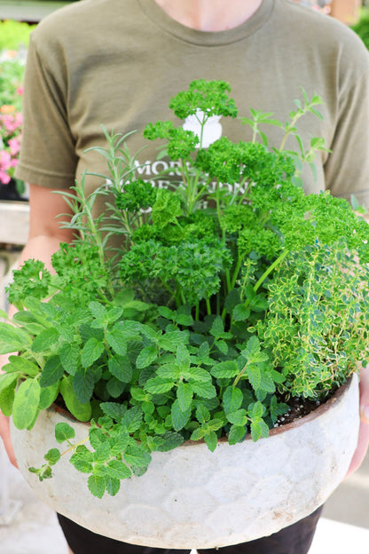 Herb Container Garden Workshop - May 2nd at 9:00AM