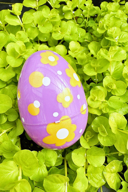 Egg-Stravaganza Discount Hunt - April 4th, 2026