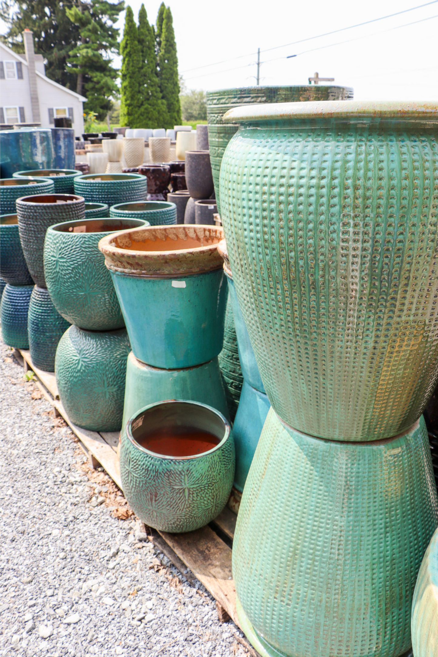 Pottery Sale - Dec 26th, 2024 - Feb 28th, 2025