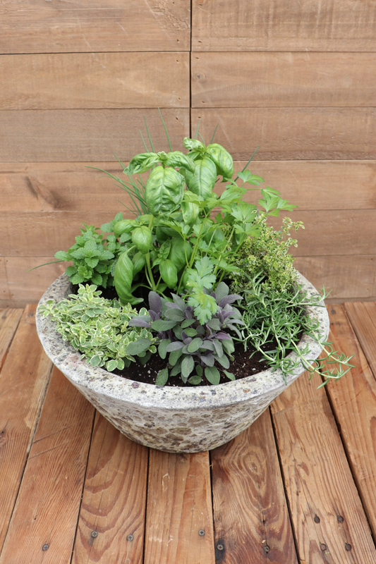Al Fresco Herb Garden Planter