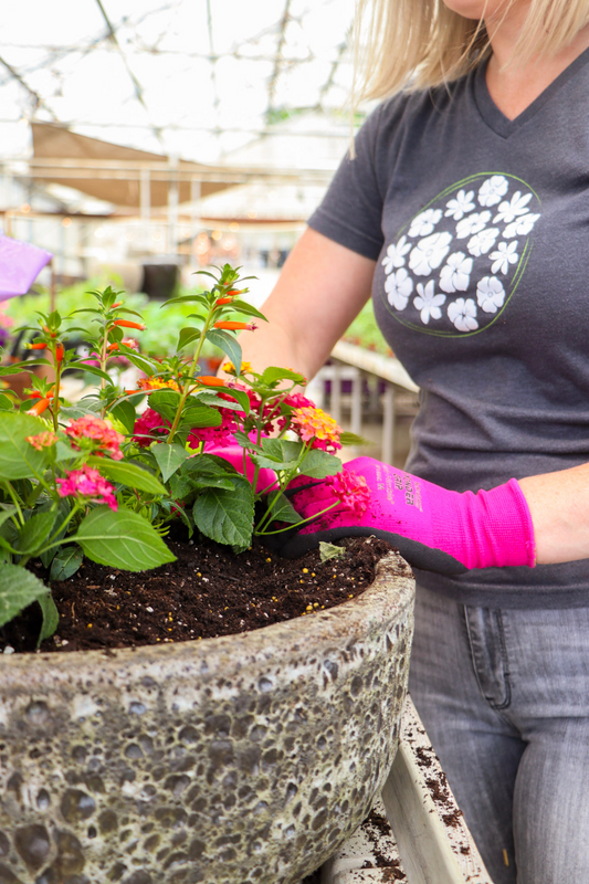 Summer Potting Workshop - May 10th at 8:30AM