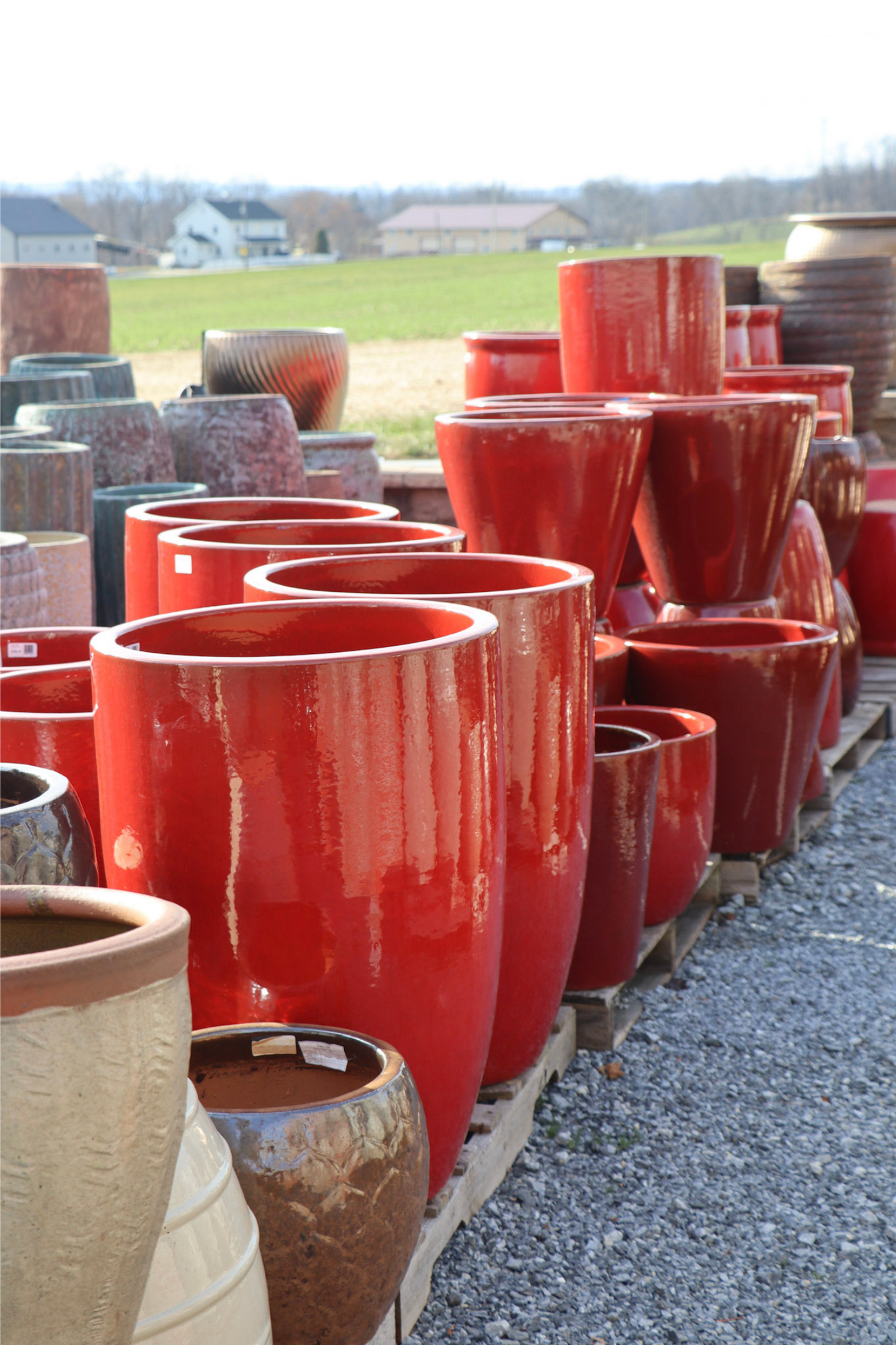 Pottery Sale - Dec 26th, 2024 - Feb 28th, 2025