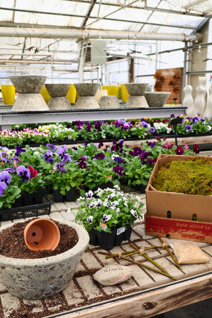 DIY Resurrection Garden - March 21st-April 4th, 2026