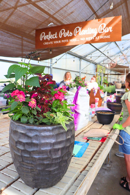 Summer Potting Workshop - May 16th at 8:30AM