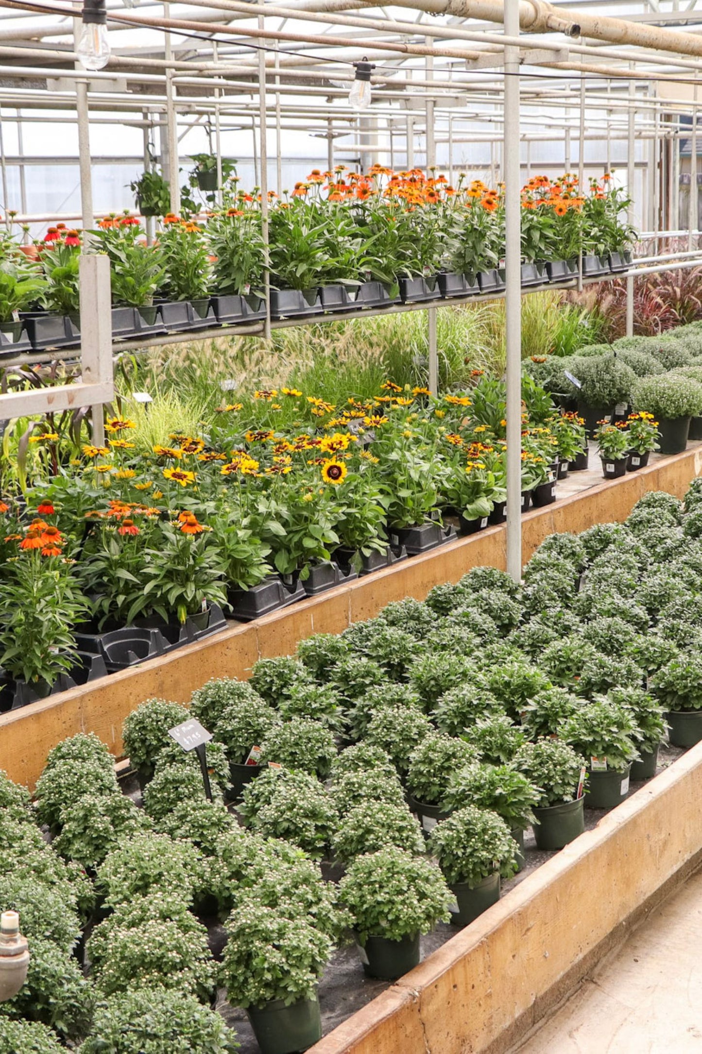 Fall Open House - Sept 5th, 2026