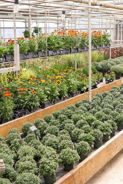 Fall Open House - Sept 5th, 2026