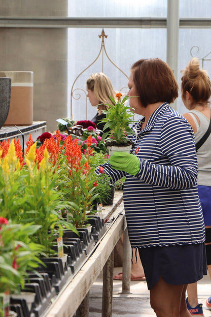 Fall Open House - Sept 5th, 2026