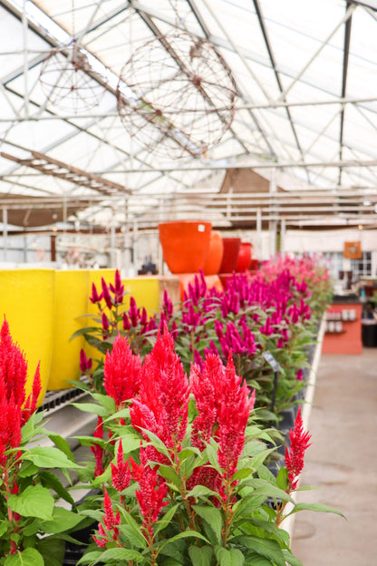 Fall Open House - Sept 5th, 2026