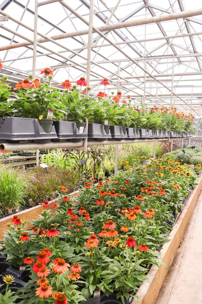 Fall Open House - Sept 5th, 2026