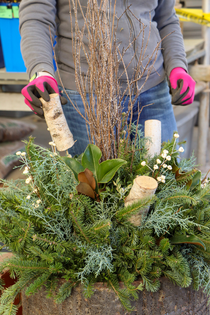 Winter Potting Workshop - Nov 8th at 9:30AM