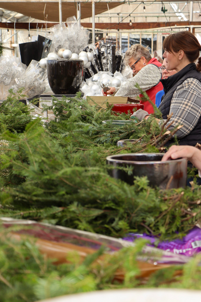 Winter Potting Workshop - Nov 8th at 9:30AM